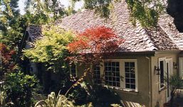 rons_front_right1